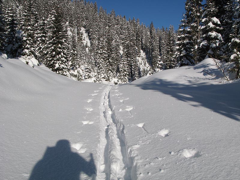 Spuren im Schnee